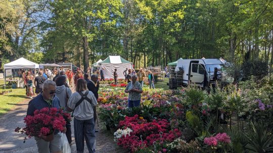 Plant fair