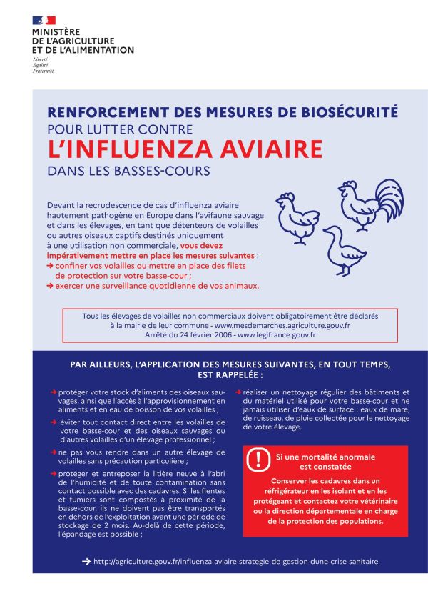 sécurité grippe aviaire