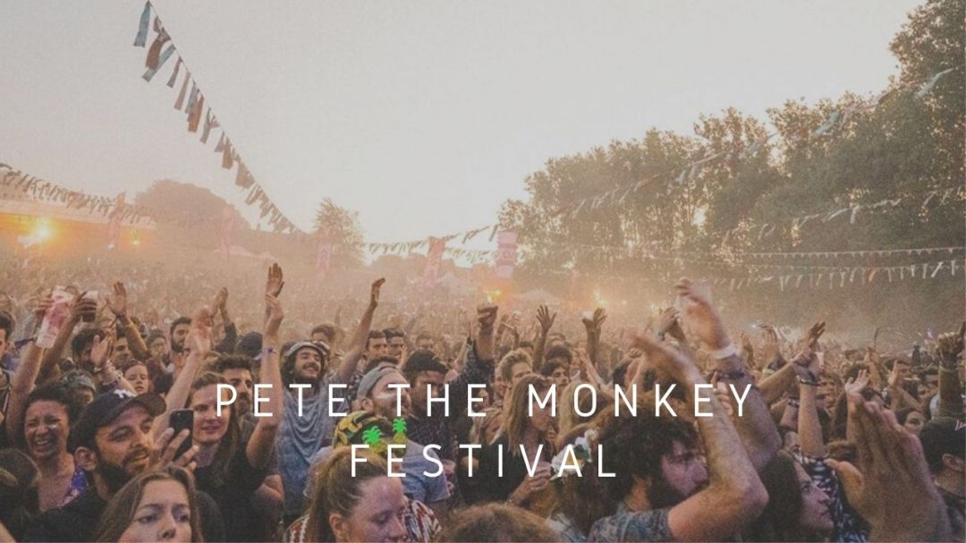 festival pete the monkey